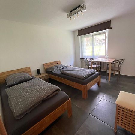 Ferienregion Andermatt - Studio In Wassen Exteriér fotografie